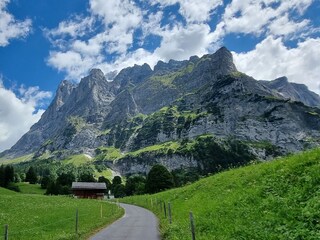 Holiday apartment Beatenberg Environment 34