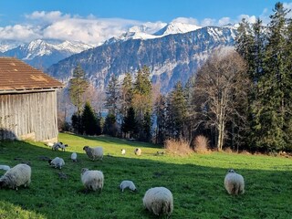 Spazierweg direkt vor der Tür