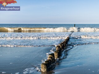 Appartamento per vacanze Nieuwvliet Ambiente 25