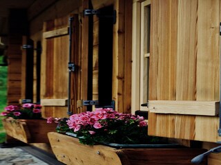 Chalet Bramberg am Wildkogel  29