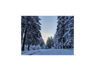 Casa de vacaciones Bütgenbach Entorno 35