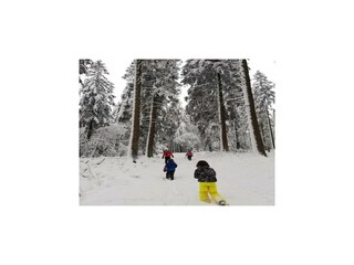 Casa per le vacanze Bütgenbach Ambiente 37