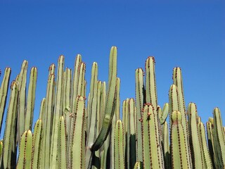 Vakantiehuis Maspalomas Omgeving 50