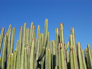 Vakantiehuis Maspalomas Omgeving 58