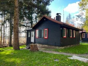 Ferienhaus Steinbachhütte 1 - Elend - image1