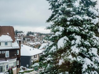 Ferienwohnung Braunlage Außenaufnahme 13
