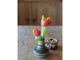 Appartamento per vacanze Wernigerode Registrazione all'aperto 10