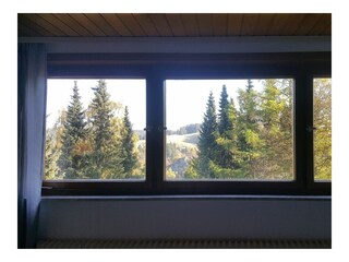 Apartamento de vacaciones Altenau im Oberharz Grabación al aire libre 10