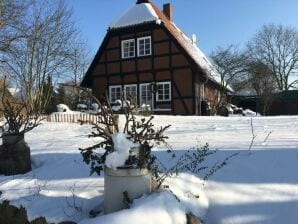 Ferienhaus Fjordblick - Ulsnis - image1