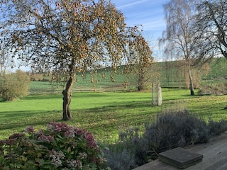 Blick über die Felder