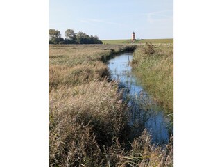 Pilsumer Leuchtturm aus dem Vogelschutzgebiet