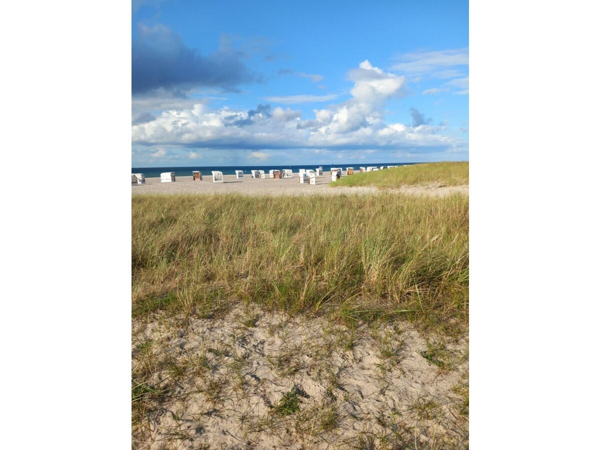 Strand Surendorf