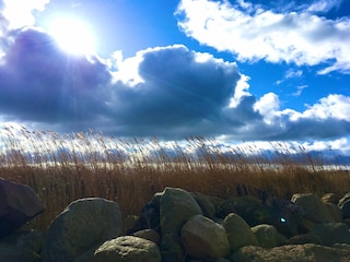 Vor Feld aus vor dem Haus