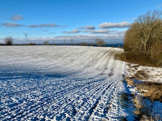 Im Wunder Winter vor dem Garten
