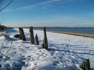 Winter Schnee so schön