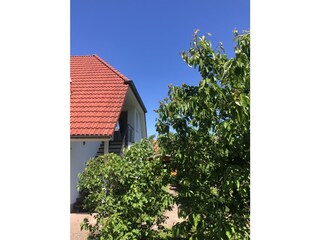 Zugang zur Ferienwohnung über Treppe