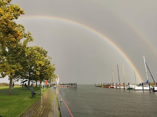 Hafen Dabitz