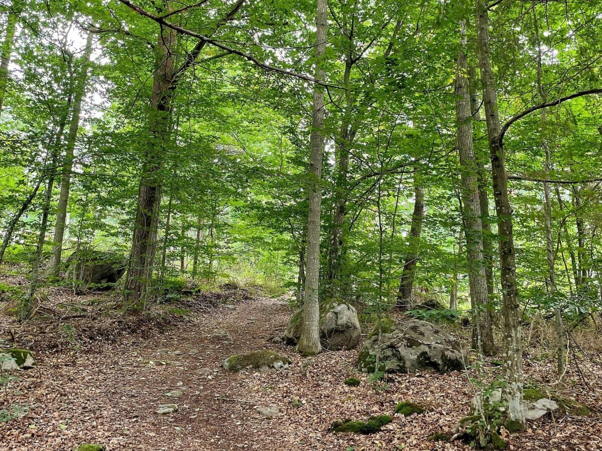 Ferienhaus Trensum Außenaufnahme 3