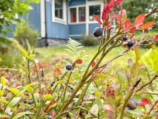 Holiday house Trensum Outdoor Recording 3