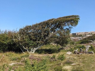 Vakantiehuis Havstenssund  21