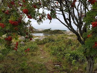 Vakantiehuis Havstenssund  4