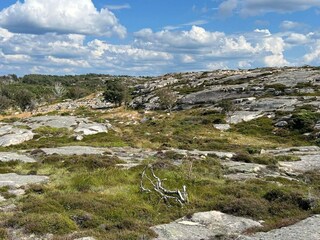 Vakantiehuis Havstenssund  5