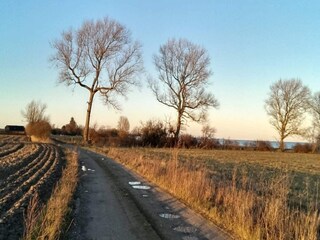 Vakantiehuis Marielyst Buitenaudio-opname 10