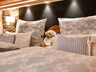 Appartamento per vacanze Bodenmais Caratteristiche 15