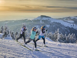 Appartement de vacances Bodenmais Environnement 25