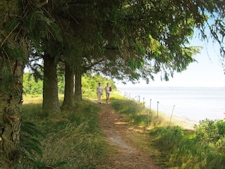 Vakantiehuis Virksund  28