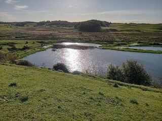 Ferienhaus Virksund  33