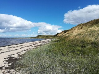 Vakantiehuis Virksund  26