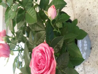 Appartamento Lirstal  38