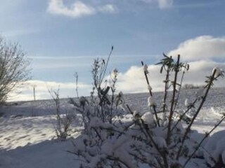 Appartement Lirstal Environnement 26