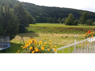 Appartement Lirstal Buitenaudio-opname 2