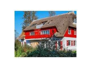 Hauptansicht