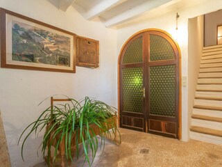 Fattoria Felanitx Caratteristiche 36