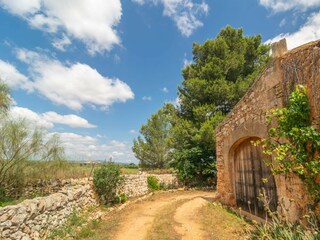 Type de propriété : Ferme Felanitx Enregistrement extérieur 20