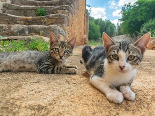 Fattoria Felanitx Registrazione all'aperto 24