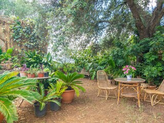 Casa de campo Felanitx Grabación al aire libre 9
