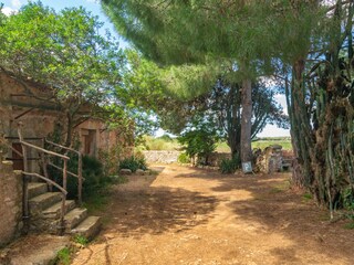 Casa de campo Felanitx Grabación al aire libre 13