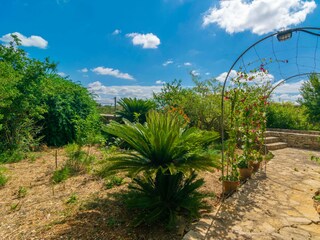 Casa de campo Felanitx Grabación al aire libre 21