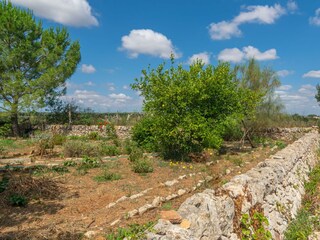 Casa de campo Felanitx Grabación al aire libre 22