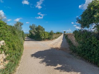 Villa Manacor Entorno 35