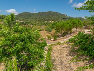 Villa Felanitx Environnement 72