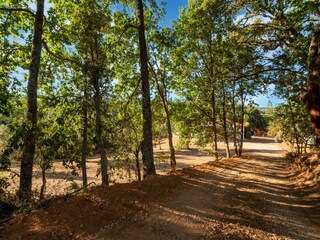 Ferienhaus Coja Umgebung 38