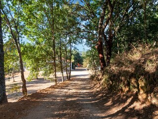 Ferienhaus Coja Umgebung 39