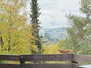 Casa per le vacanze Trois-Ponts  32