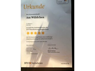 Klassifizierung DTV