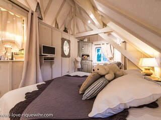 Appartamento per vacanze Riquewihr Caratteristiche 11